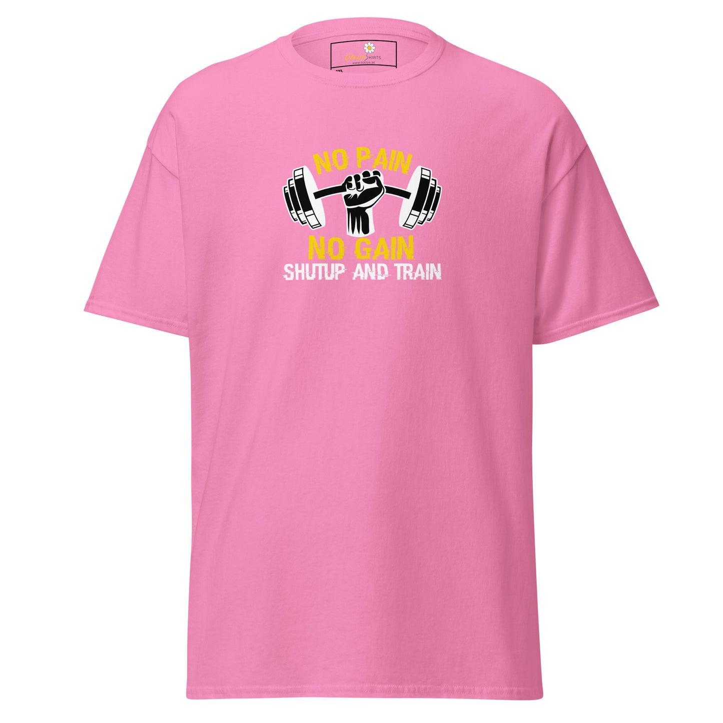 Unisex classic t-shirt - SPORT NO GAIN NO PAIN - BIG