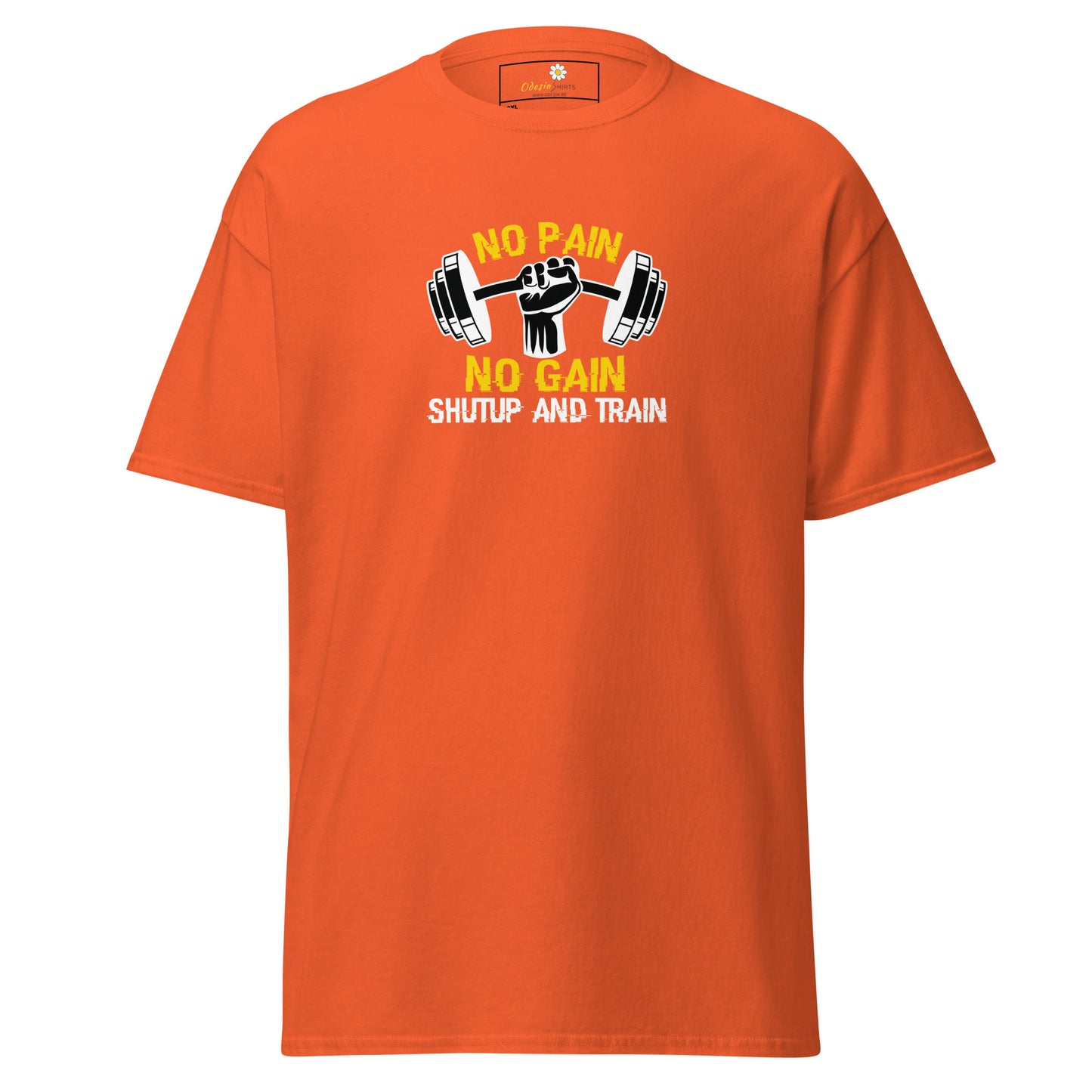 Unisex classic t-shirt - SPORT NO GAIN NO PAIN - BIG